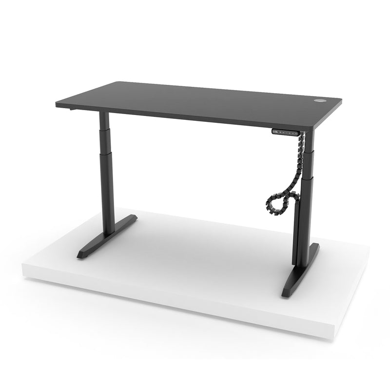 EKOBOR Oval Premium desk