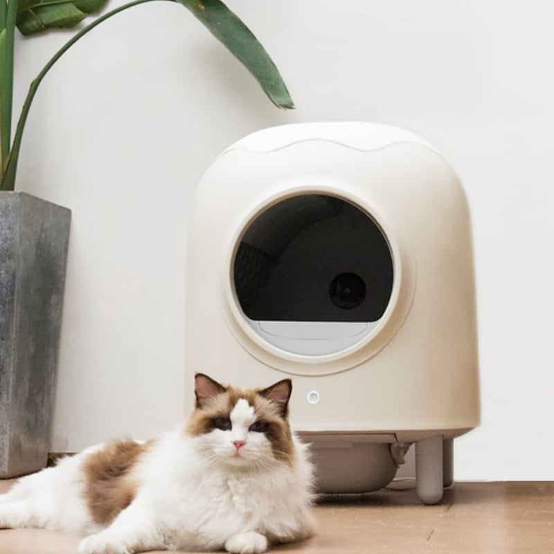 HHOLove Automatic Smart Cat Litter Box