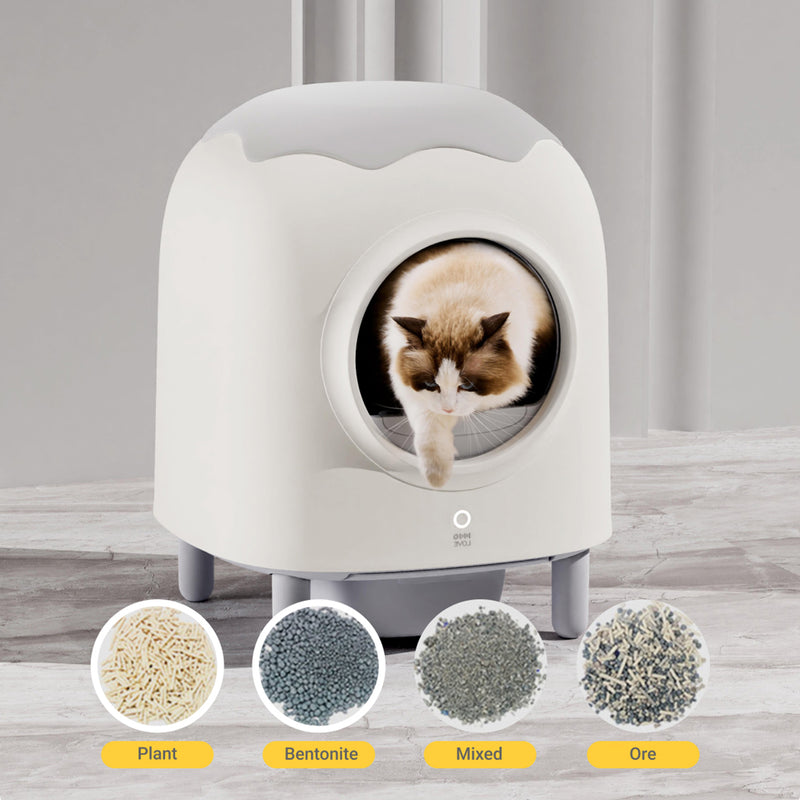 HHOLove Automatic Smart Cat Litter Box