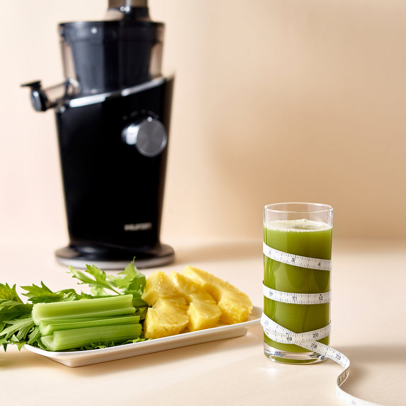 Hurom H-100S Slow Juicer DivaS