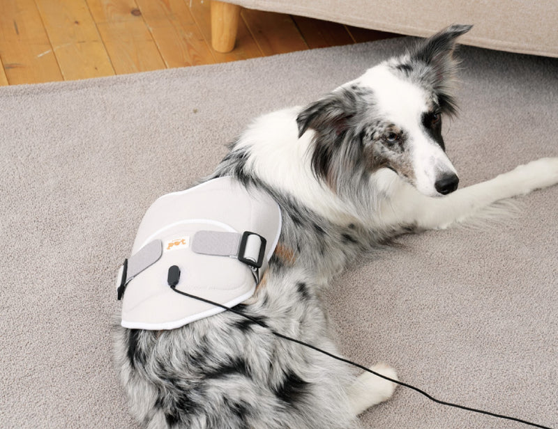 Cirius Pet Warm Pad Near Infrared (NIR) Joint Therapy Belt