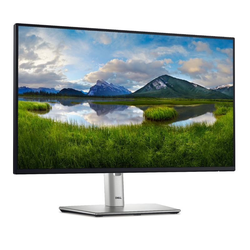 DELL P2425H 23.8" 100Hz Monitor