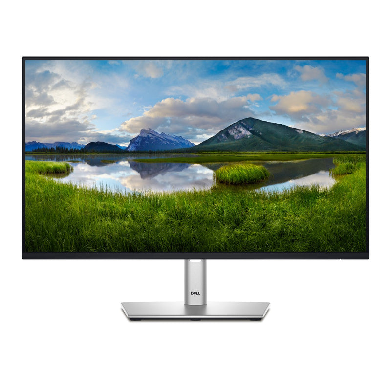 DELL P2425H 23.8" 100Hz Monitor