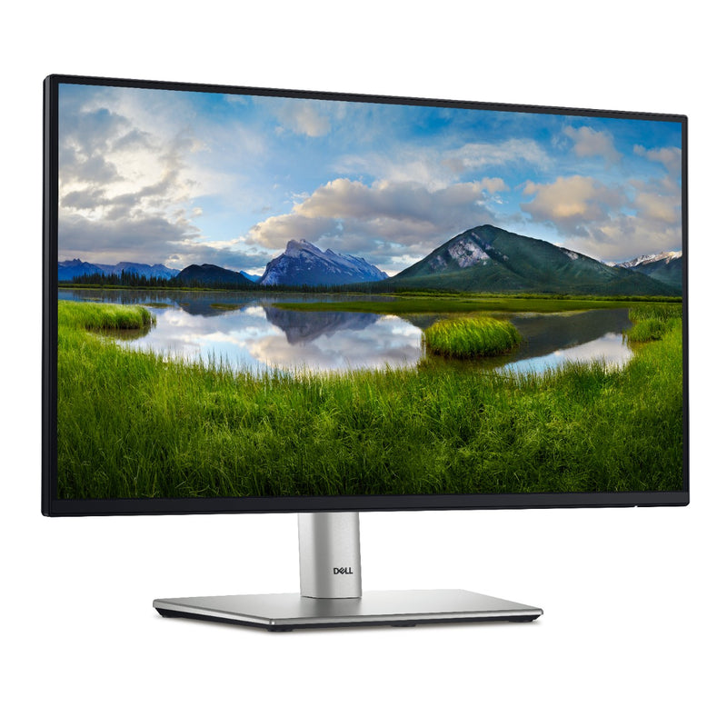 DELL P2225H 22" 100Hz Monitor