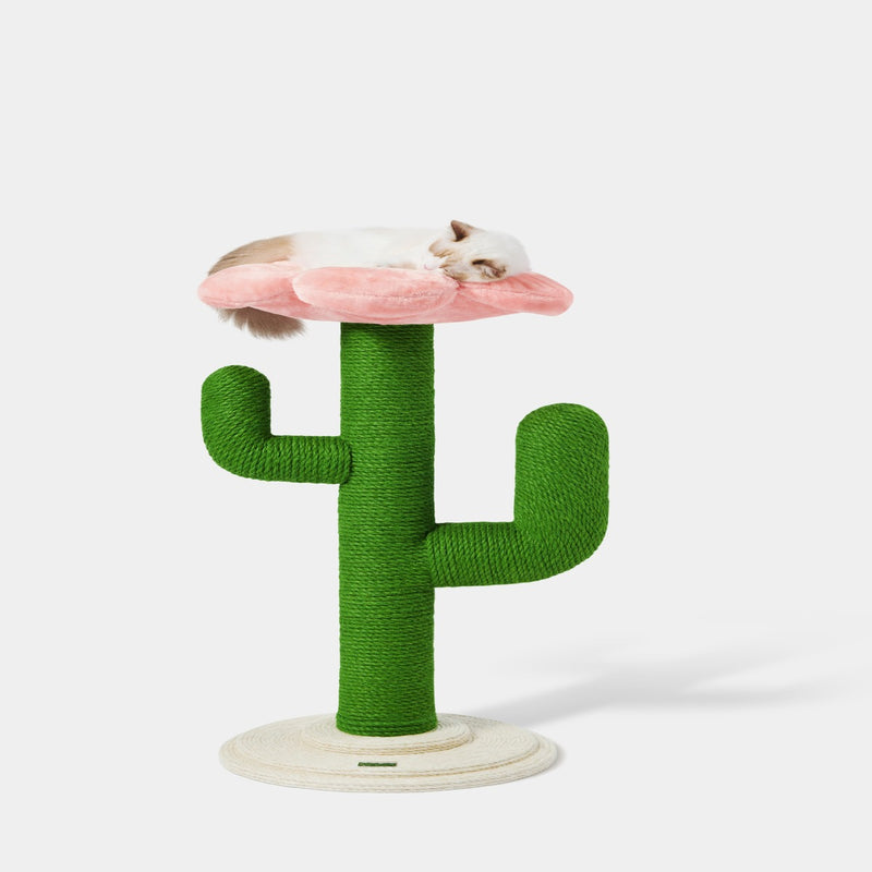 Vetreska Blooming Cactus Cat Tree