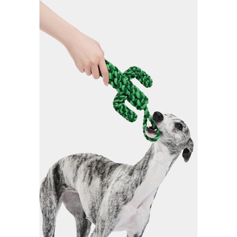 Vetreska Oasis Cactus Knot Rope Toy