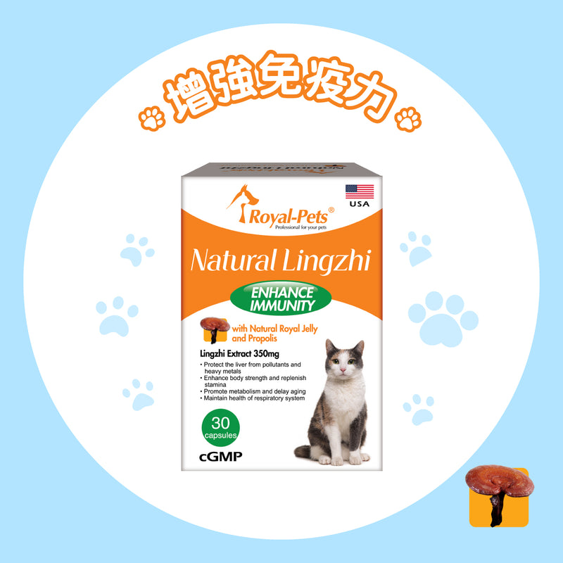 Royal-Pets Natural Lingzhi 30 capsules