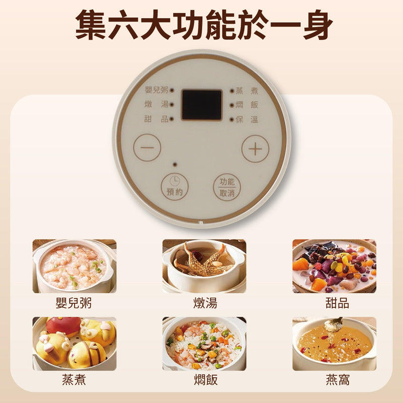 DAEWOO DY-DZ05 Multifunctional Stew Pot