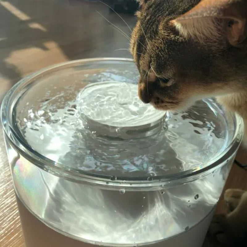 duit water pot 寵物鏡型飲水機